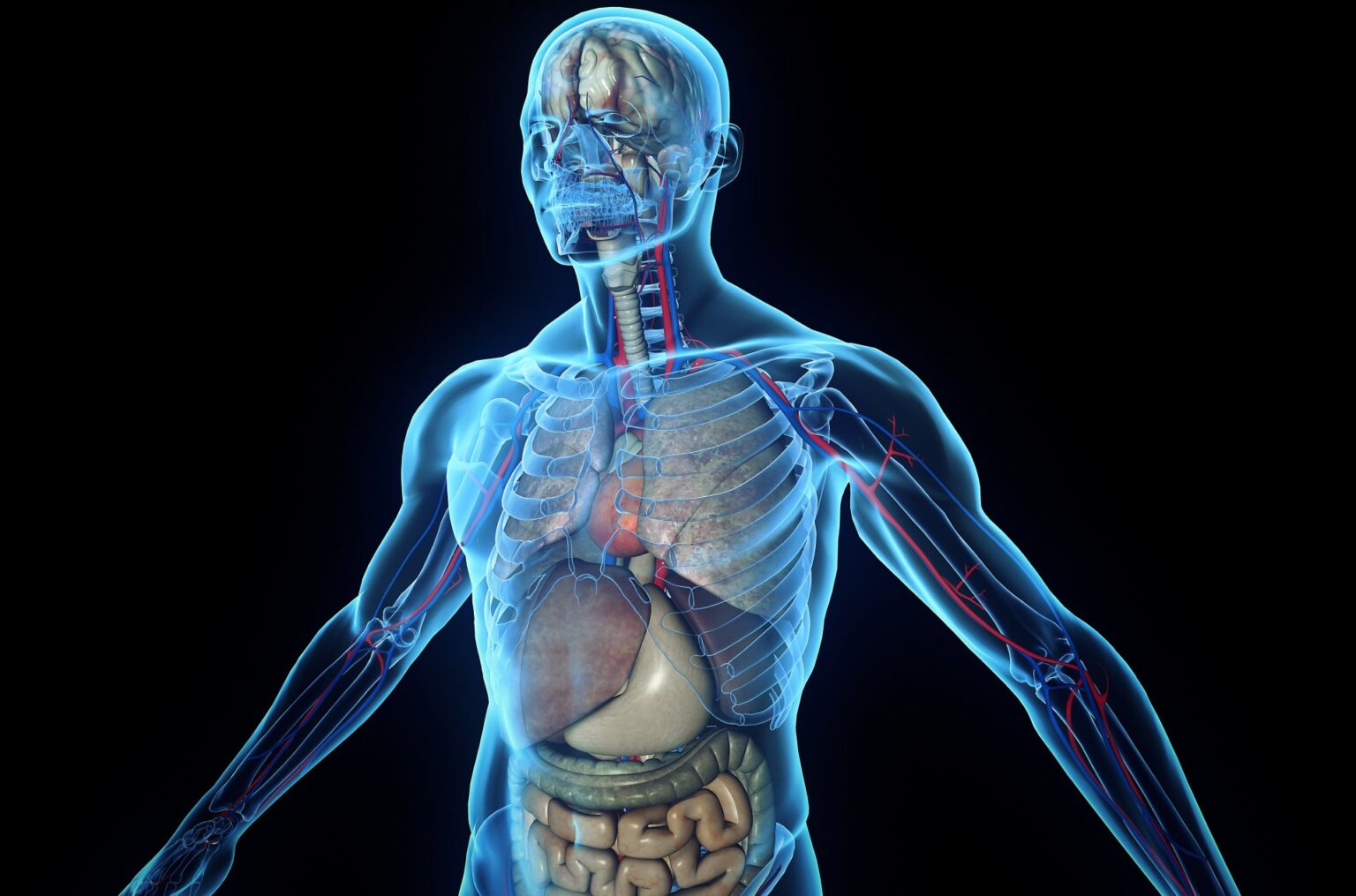 Are There Smoothies that Can Aid in Repairing Specific Organs in the Body?