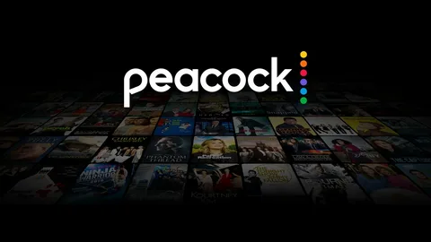The Synergistic Ecosystem of Peacock TV and Instacart+